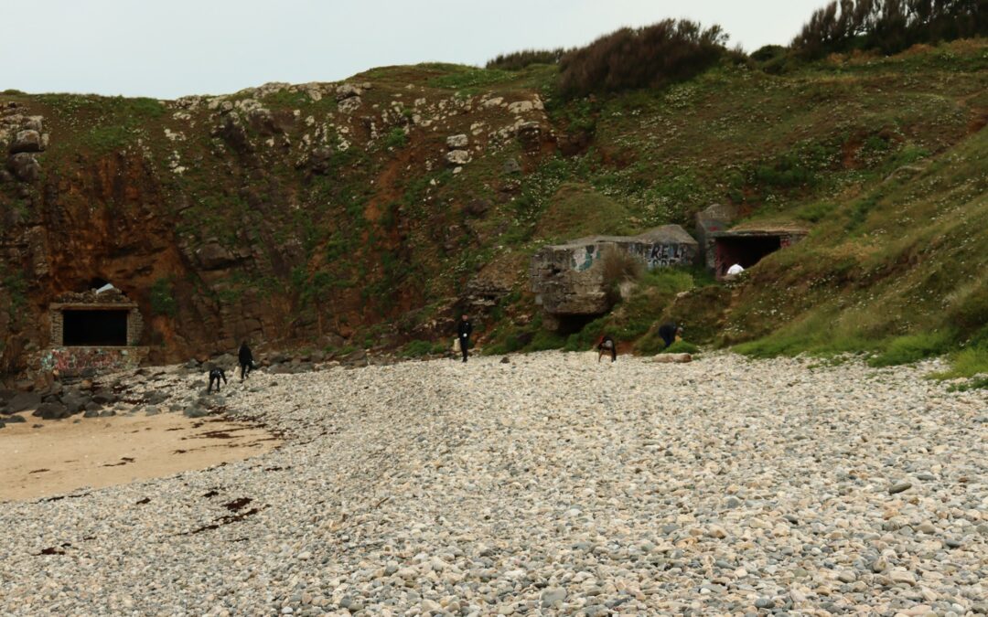 2026-04-16-sortie-plage-la-Palue